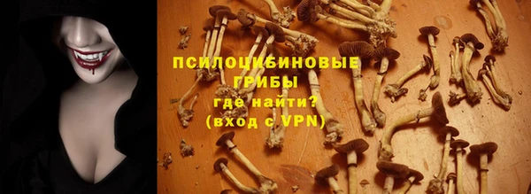 гидра Белокуриха