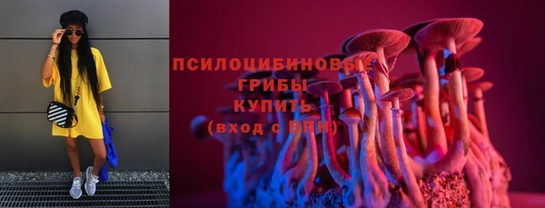 шишки Беломорск