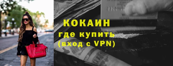 гидра Белокуриха
