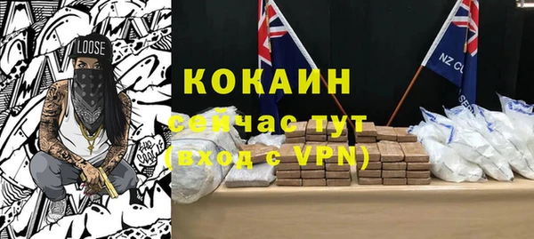 шишки Беломорск