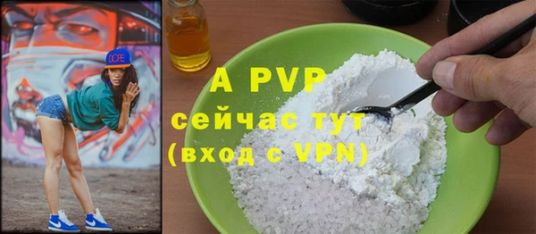 гидра Белокуриха