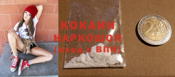 шишки Беломорск