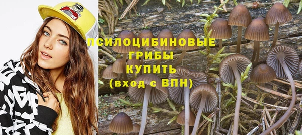 гидра Белокуриха