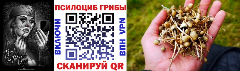 Псилоцибиновые грибы GOLDEN TEACHER  Купить закладки  Нелидово 